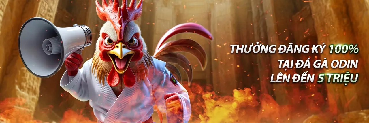 Gà chọi huyền thoại trong đấu trường đá gà trực tiếp Campuchia